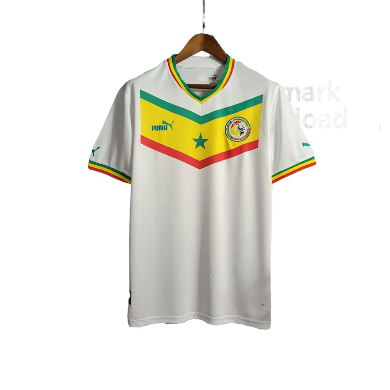 Novas camisas da Seleção de Senegal para a Copa 2022 PUMA